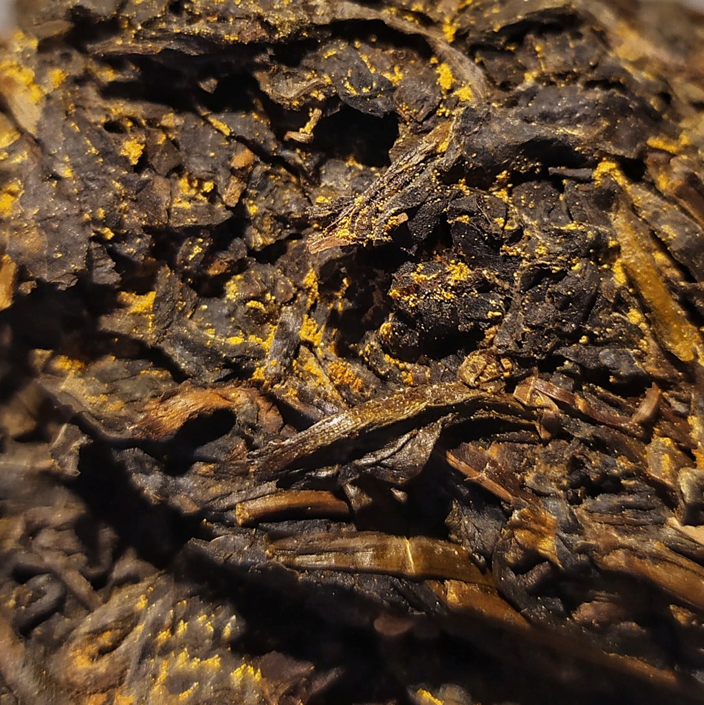 Epitome of Fuzhuan fermentation: Eurotium cristatum, the hero of&nbsp;Anhua