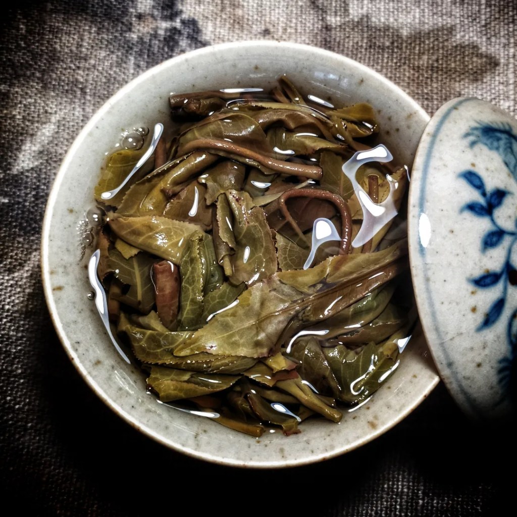 Viet Sun Giàng Pằng 1 Big Tree sheng pu’er spring&nbsp;2024