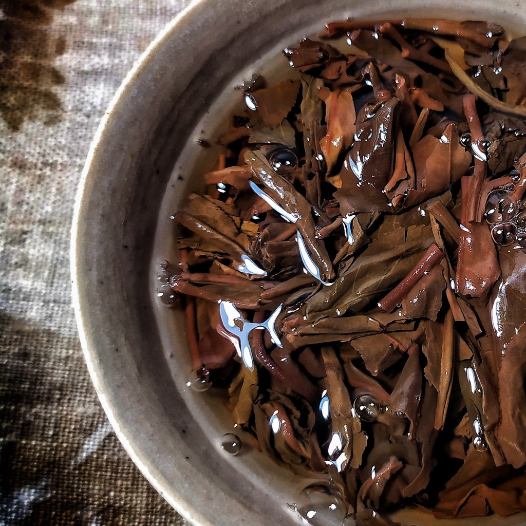 Discussing again about Yiwu and authenticity with a 2003 CNNP “Sheng Tai Gu Shu cha” via Camellia&nbsp;Sinensis