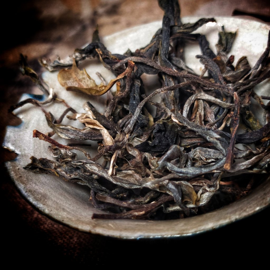 Discovering Y Tý: Comparison of two Viet Sun sheng pu’er from a Dao and a H’Mông&nbsp;village