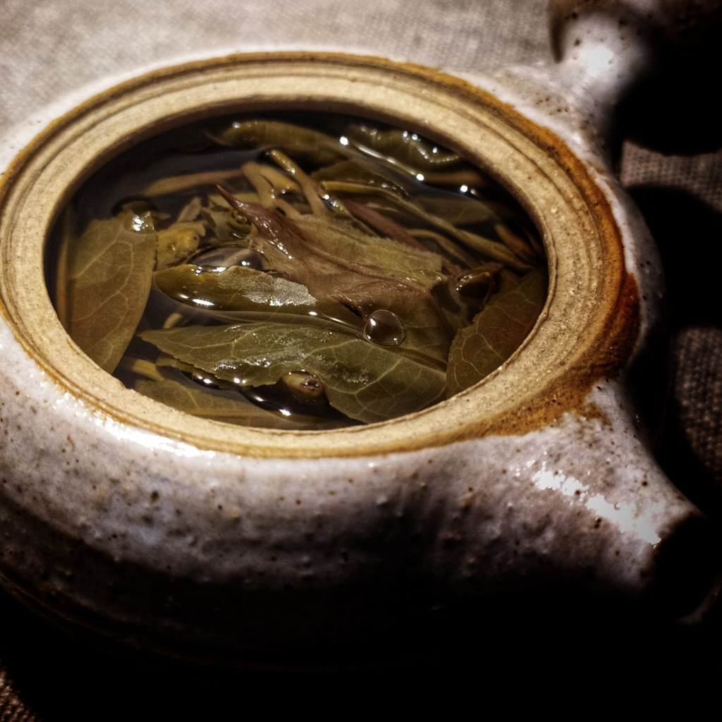A mystical, primordial village that gave refuge to outlaws, tea merchants, heroic loggers and ghosts. Huang Cao Ba told with a 2023 old trees sheng&nbsp;pu’er