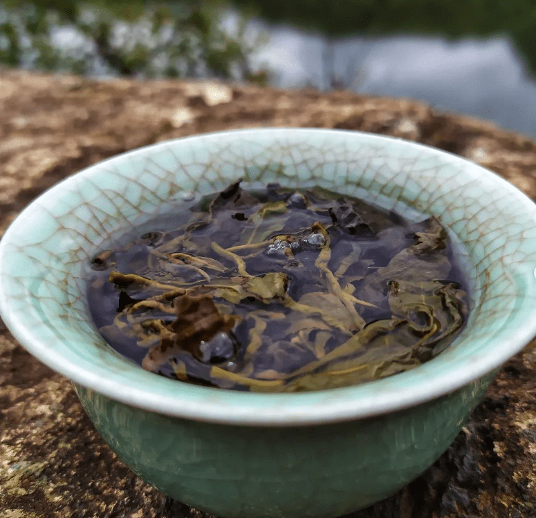 An echo of a higher truth. MST old master Dong Ding spring&nbsp;2024