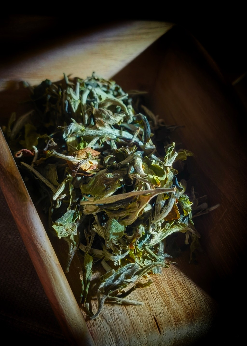 First Flush, Final Breath: Drinking the Last of the Muses. Seven Essence 2025 FF Darjeeling&nbsp;Muse