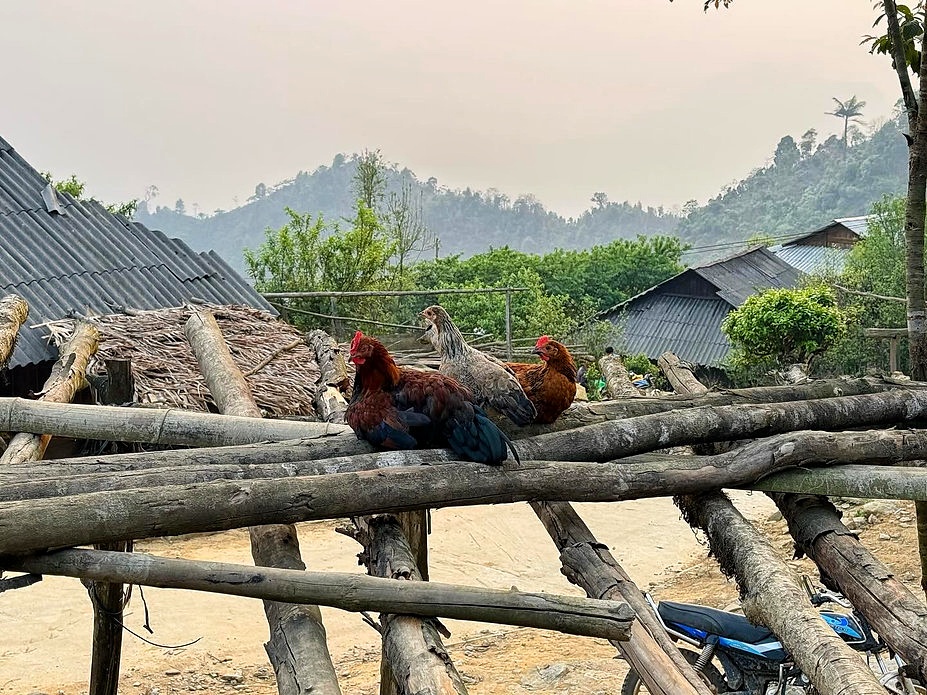 The Changing Mountains – Part 1: How High Stakes Corrupt&nbsp;Authenticity