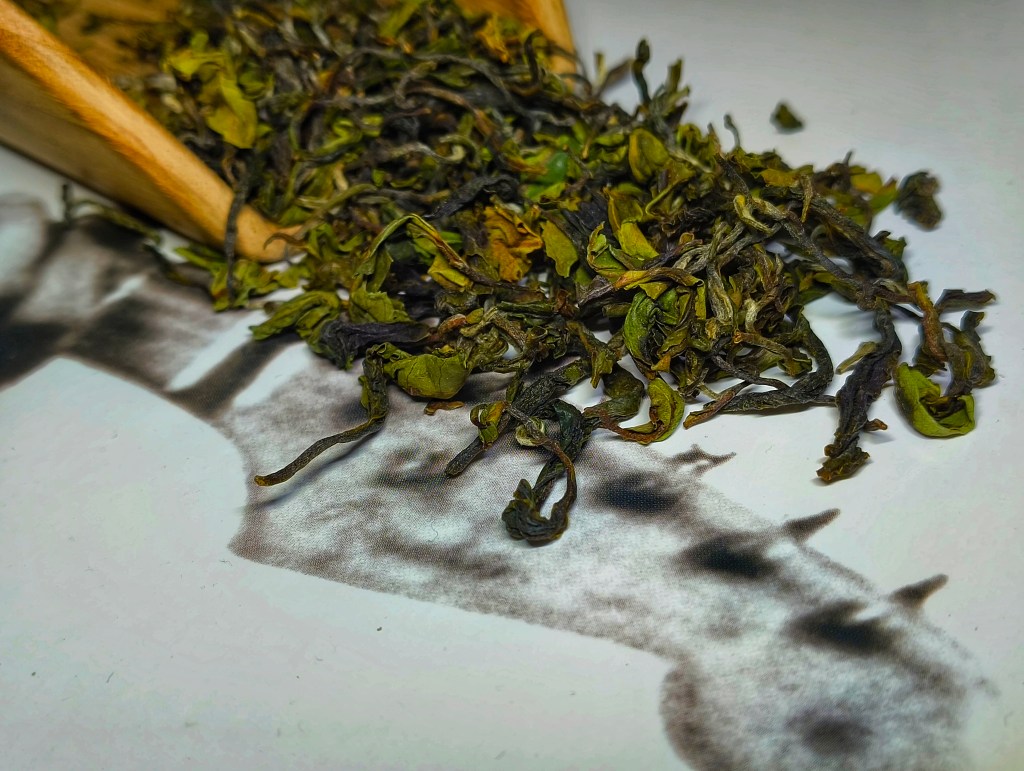 The Design of Ephemeral Grace – Seven Essence 2025 Spring&nbsp;Quiescence