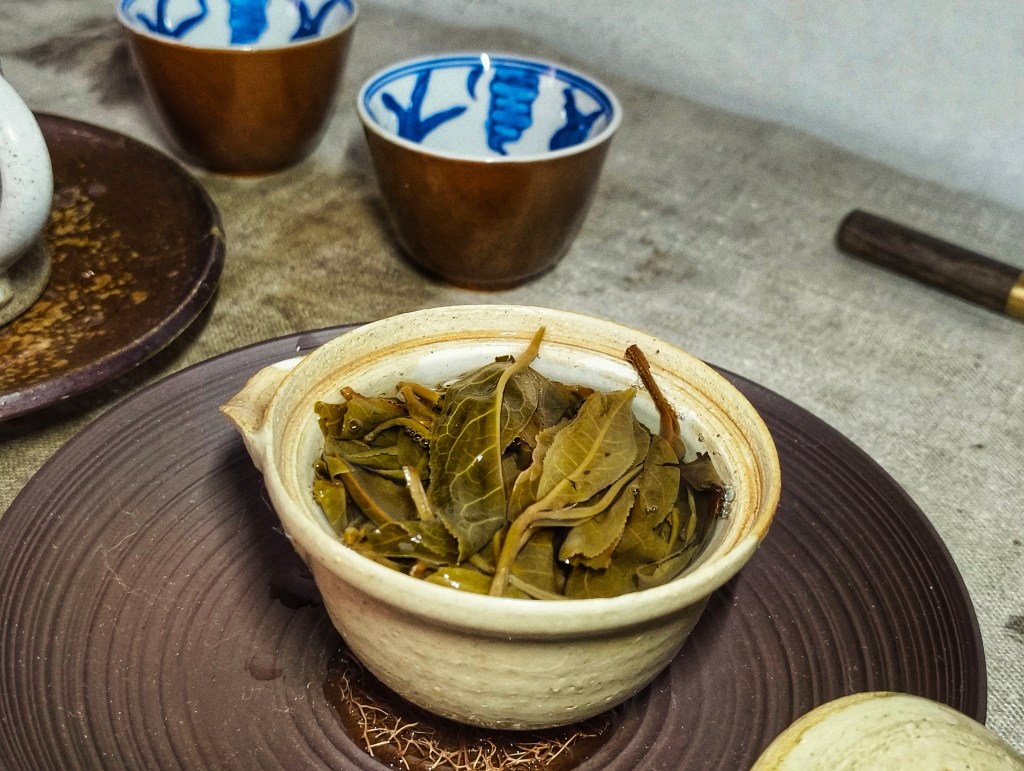 Mengsong and the Anatomy of a Relentless Huigan. TdC Sanmai Village Danzhu Sheng Pu’er Spring&nbsp;2024