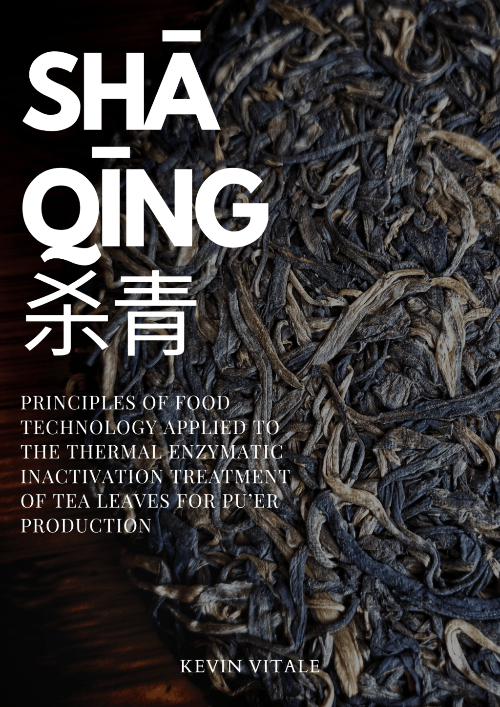 Shāqīng: My New EBook Is Out Now (English &&nbsp;Italian)