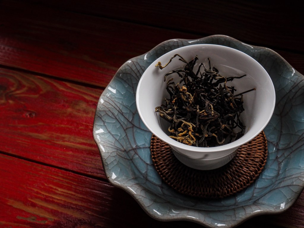 The Hour Between Dog and Wolf – Summer 2025 Darjeeling Anarchy